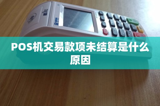 POS机交易款项未结算原因解析 聚焦结算设备因素